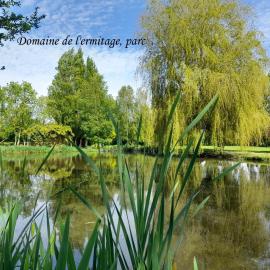 Domaine de l'Ermitage, hotel in Rue