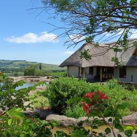 Inkungu Homestead