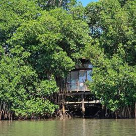Willo's Treehouse, מלון בEscuintla