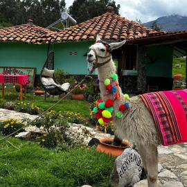 Tullpa Rumy Lodge, hotel din Yungay