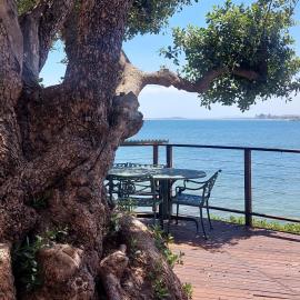 Driftwood Beach Villa