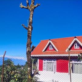 ZORBA HOMESTAY DARJEELING
