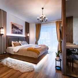 Elma Studio Sinaia - spa si piscina contra cost