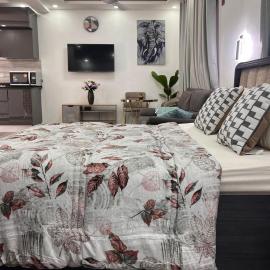 NBA PLUSH APARTMENT - GYE NYAME, hotel a Accra