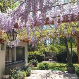 Old Willow, hotel in Chacras de Coria