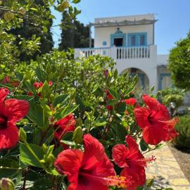EFFIE'S STUDIOS, מלון באלינדה