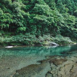 熊野四季亭, hotel en Tanabe
