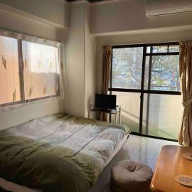 North River 203 Peace Wing 2C, hotel in Kami-nagarekawachō