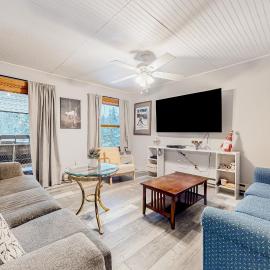 Pico Mountain Perch, Unit B22, hotel in Mendon