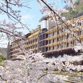 Tenseien, hotel in Hakone