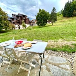 Superb studio Terrace Ski in Montchavin