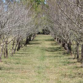 Los Almendros, hotelli kohteessa Verónica