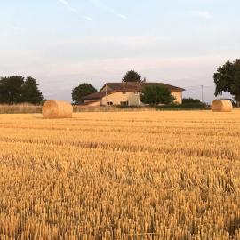Le clos du chêne - Chambres dans maison Bressane à Saint Trivier sur Moignans，Baneins的飯店