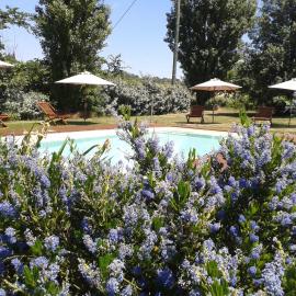 B&B La Ferme de Loubens, hotel u gradu Loubens-Lauragais