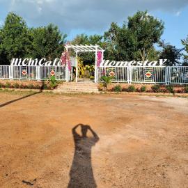 Homestay hichi, hotel a Ấp Tân Hà