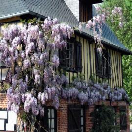AUBERGE DU VAL AU CESNE, hotel i Croix-Mare