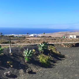 Asomada Views