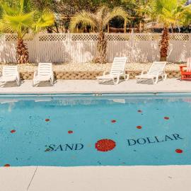 Sand Dollar - 3rd Row - Ocean Drive Section