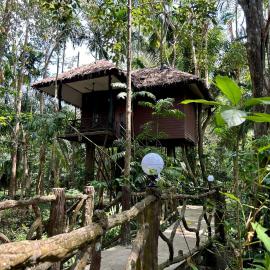 Khao Sok Paradise Resort, khách sạn ở Vườn quốc gia Khao Sok