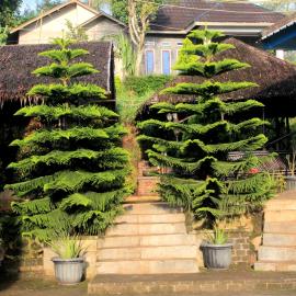 Omah Gunung Garut, hotel a Tjisurupan