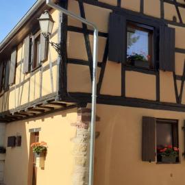 Coup de cœur en Alsace ! Proche Colmar et sur la route des Vins, Gîte de la Muse avec son jardin