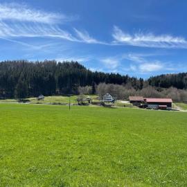 Idyllisches Ferienapartment Allgäu (Ehwiesmühle), hotel a Bad Grönenbach