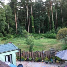Secluded Woodland Hideaway - 2 Bed with Private Parking, hotel a Emsworth