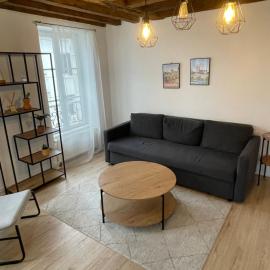 Charmant appartement Orléans !
