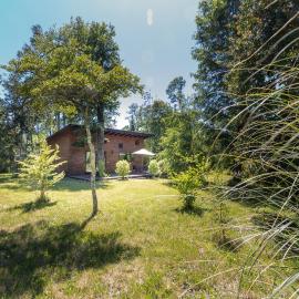 Cabañas Pucon Location