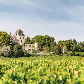Château Les Carrasses, отель в городе Капестан