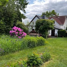 Idyllisches Gartenhaus, hotel en Hohenölsen
