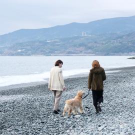 いぬと海辺, hotell sihtkohas Odawara