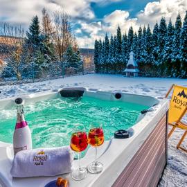 Apartament Cicha 11 VIP z JACUZZI, SAUNĄ i ogrodem by Royal Aparts