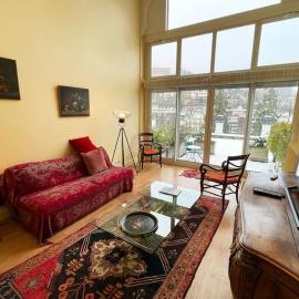 Merveilleux Duplex Royat Vue
