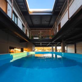 Sealion Dive Center，Topolobampo的飯店