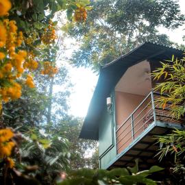 Edens Munnar