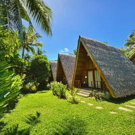 Triangle Palms Siargao