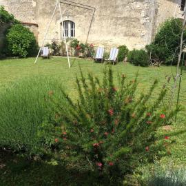 Location cure ou vacances dans maison charentaise centre ville