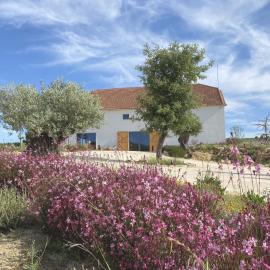 Cas'Amaro, hotel in Alenquer