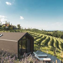 Glamping house Julija - Wellness & View – hotel w mieście Ivanjkovci