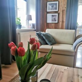 Mozaika Art Apartment PL LT EN
