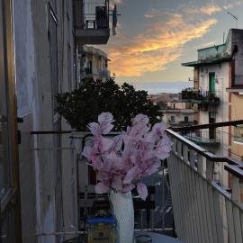 Vesuvio Guest House