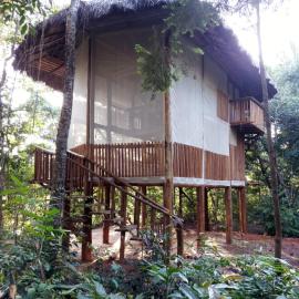 EcoAraguaia Jungle Lodge, hôtel à Caseara