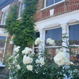 Traditional English 4 bedroom home in Greenwich, hotel in Plumstead