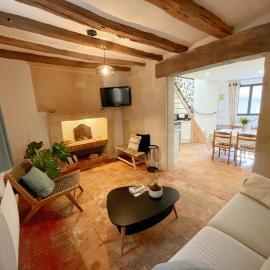 Cosy Gîte à Azay-le-Rideau avec Wifi, Clim, tout inclus, idéal pour 2 adultes et 2 enfants, proche châteaux - FR-1-381-567