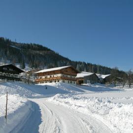 Sauschneid Hof