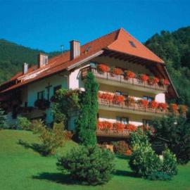 Mosertonihof โรงแรมในเอลซาค