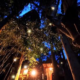 chichinpuipui house, hotel i Kirishima