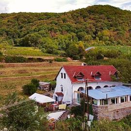Inhauser Pincészet&Guesthouse&Restaurant, hotel in Somlószőlős