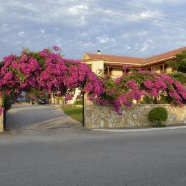 Lefki Studios, hotell i Lakithra